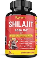 shilajit extract capsules